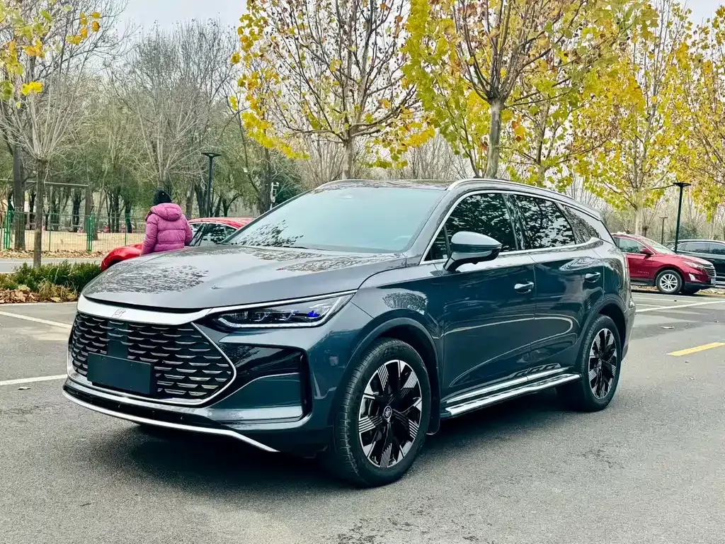 BYD Tang New Energy 2024 из CN, фото 1