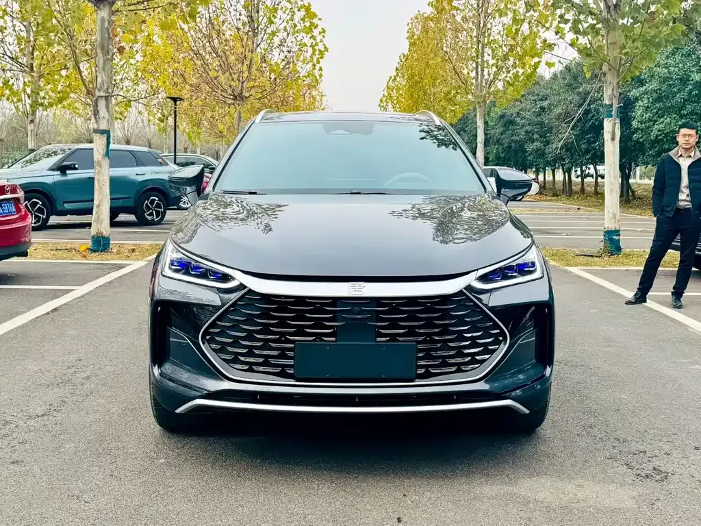 BYD Tang New Energy 2024 из CN, фото 2