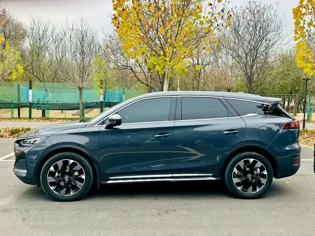 BYD Tang New Energy 2024 из CN, фото 3