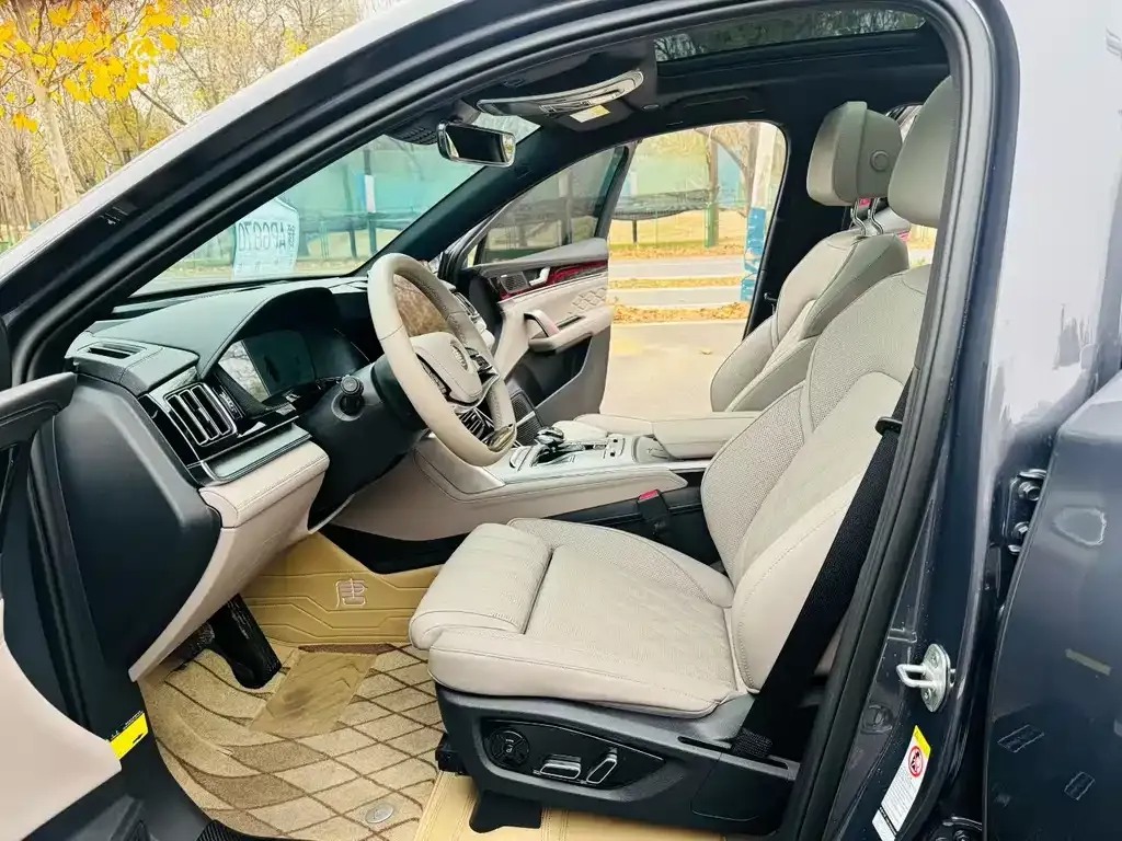 BYD Tang New Energy 2024 из CN, фото 7