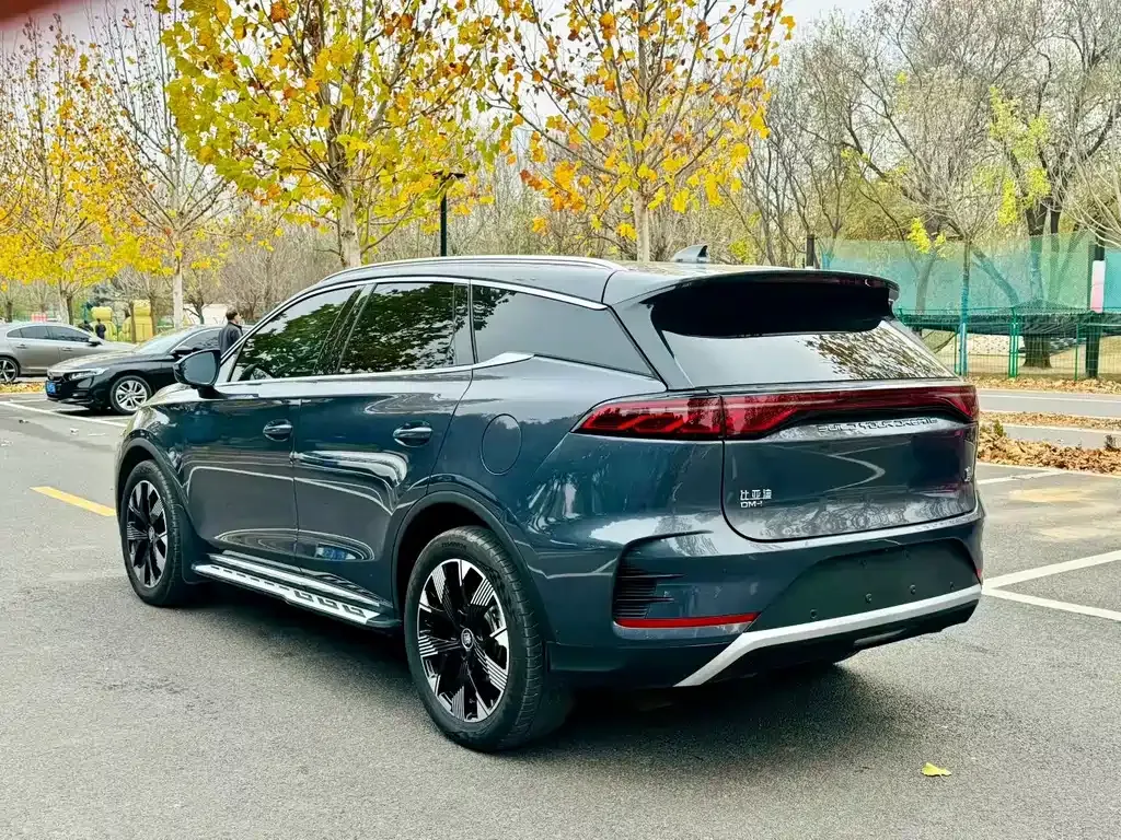 BYD Tang New Energy 2024 из CN, фото 8