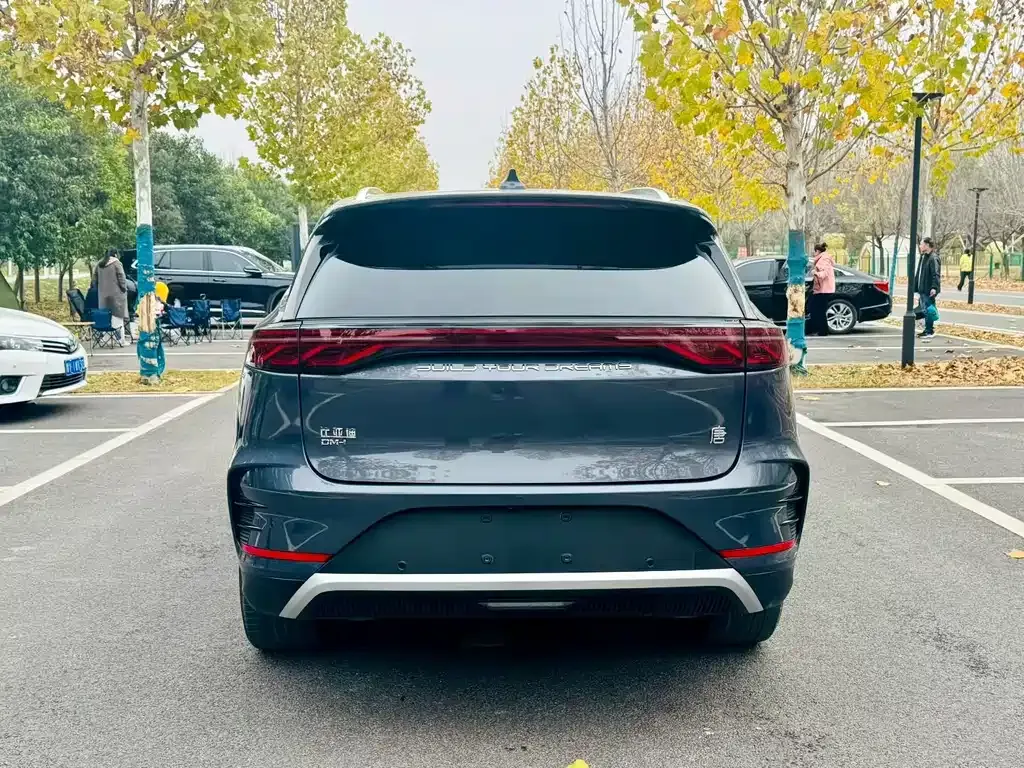 BYD Tang New Energy 2024 из CN, фото 9