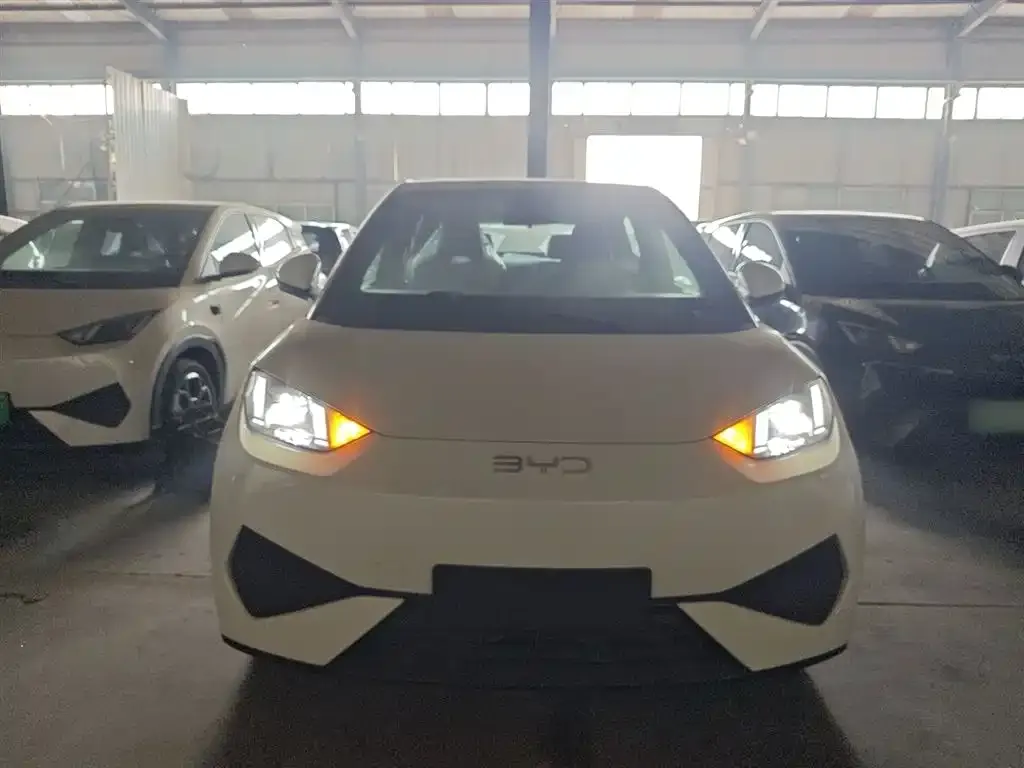 BYD Seagull 2025 из CN, фото 3