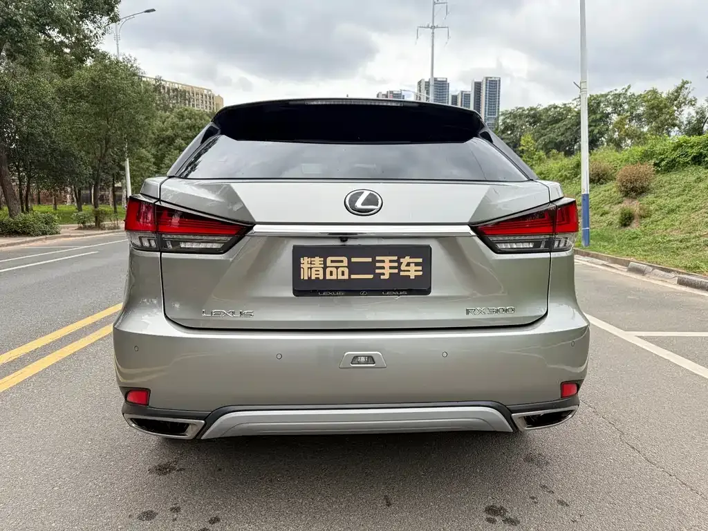 Lexus RX 2021 из CN, фото 4