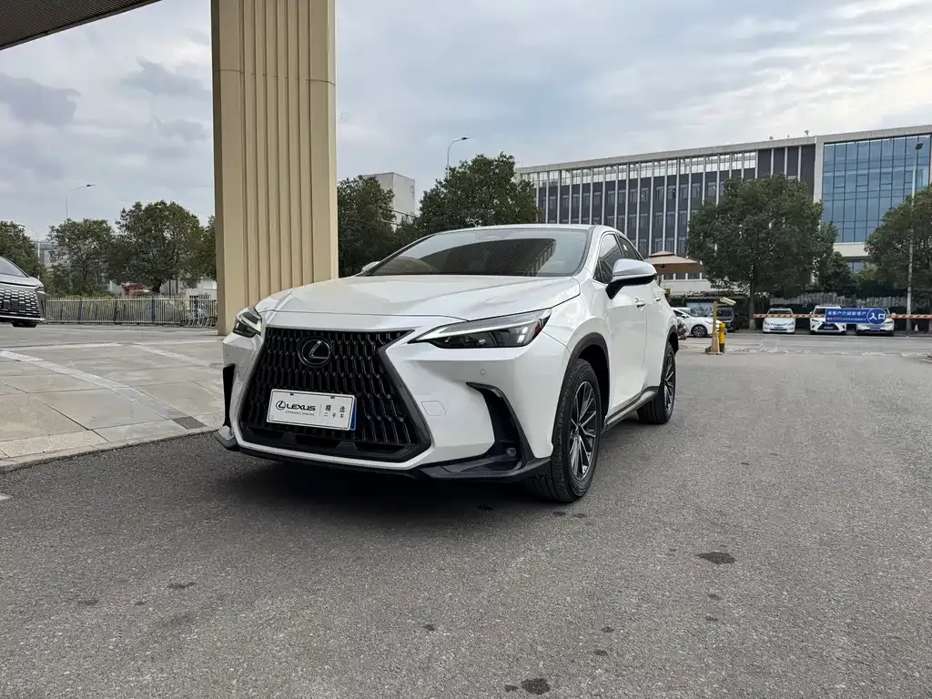 Lexus NX 2023 из CN, фото 1