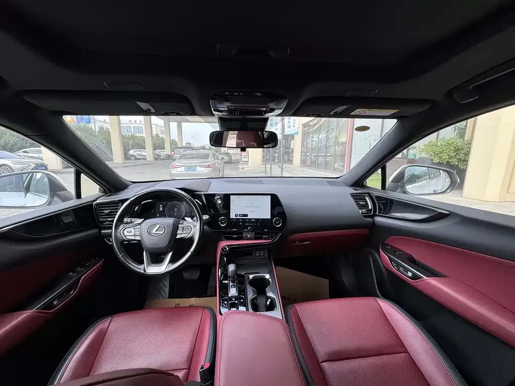 Lexus NX 2023 из CN, фото 4