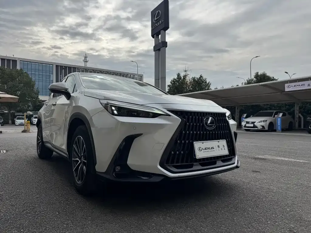 Lexus NX 2023 из CN, фото 7