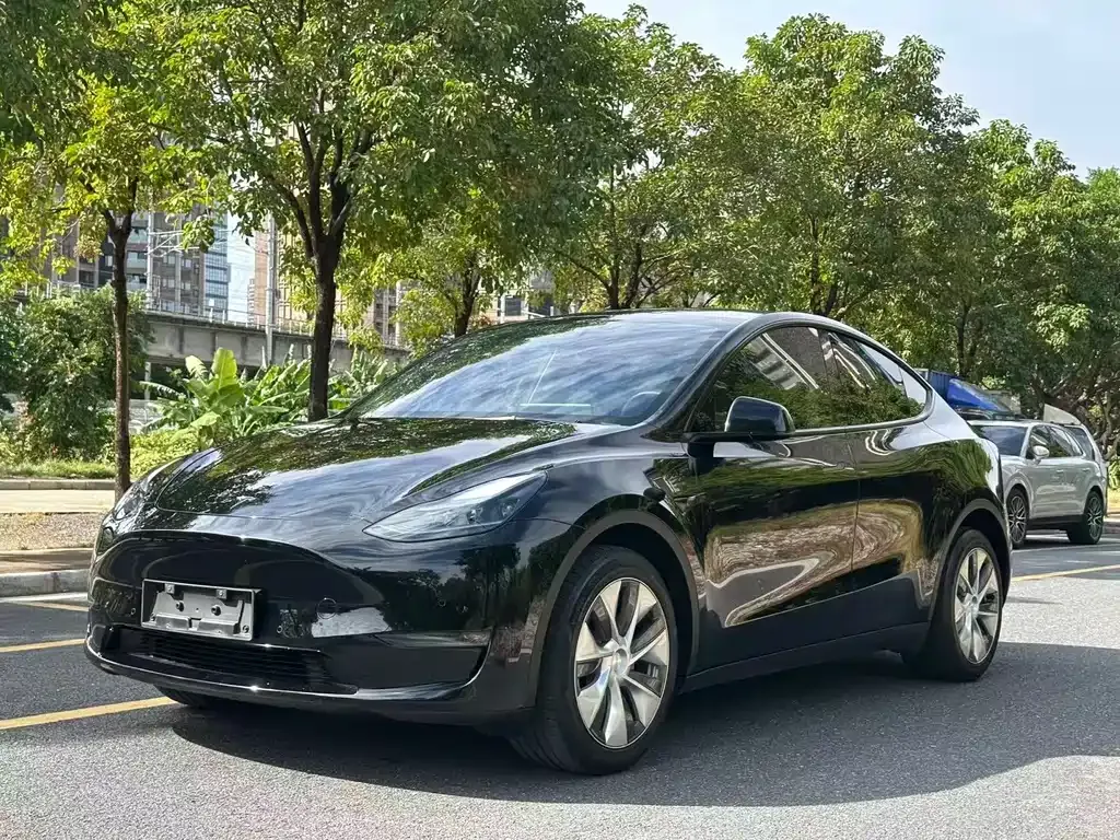 Tesla Model Y 2023 из CN, фото 1