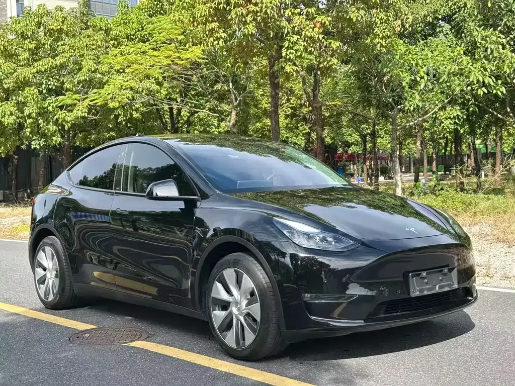 Tesla Model Y 2023 из CN, фото 3