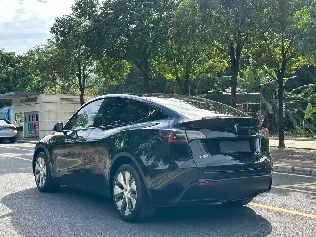 Tesla Model Y 2023 из CN, фото 7