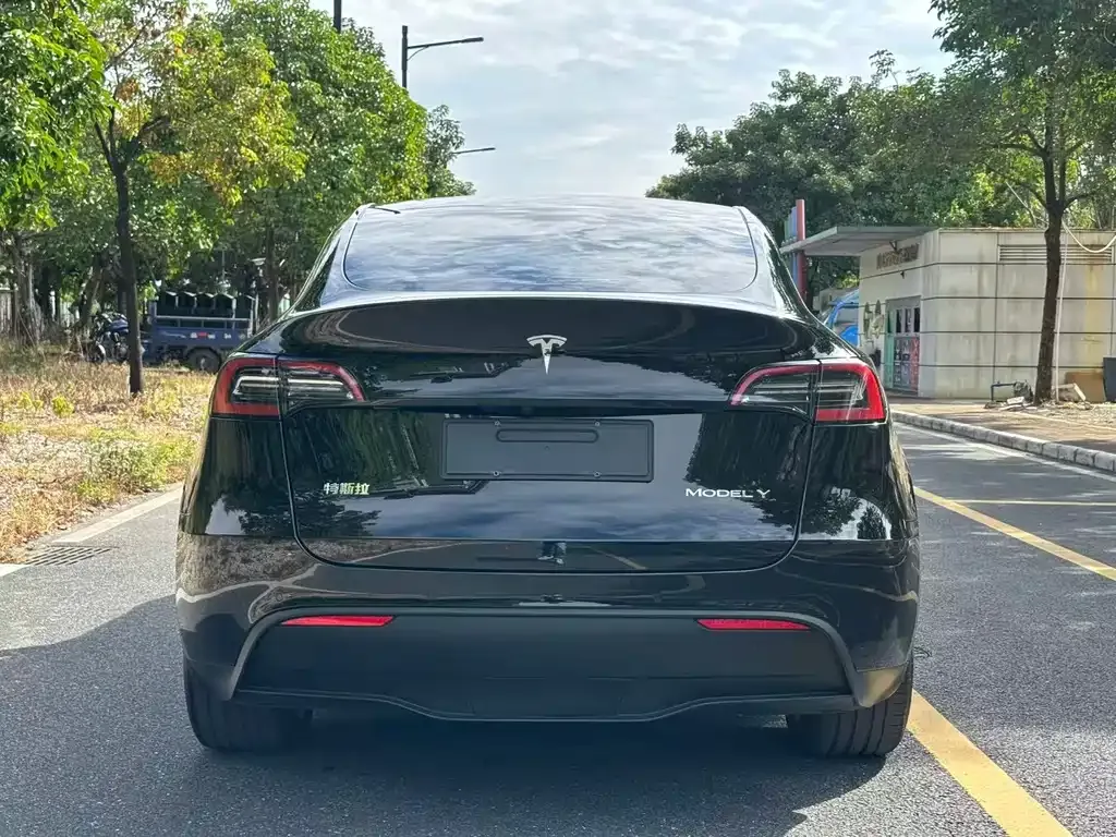Tesla Model Y 2023 из CN, фото 8