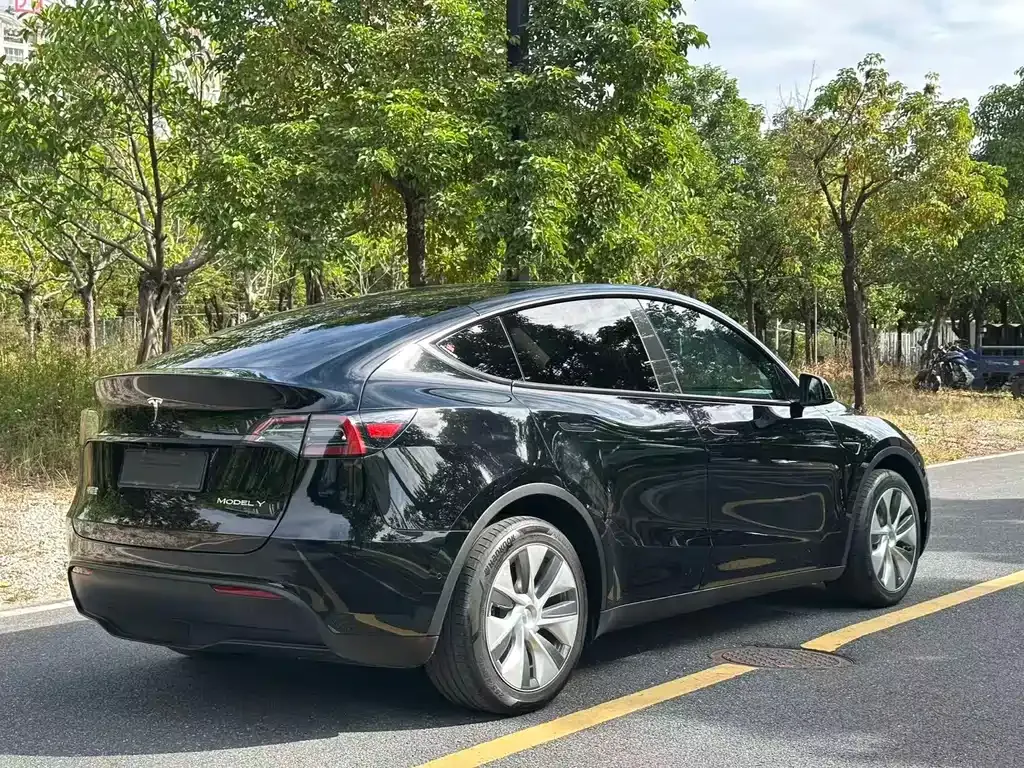 Tesla Model Y 2023 из CN, фото 9