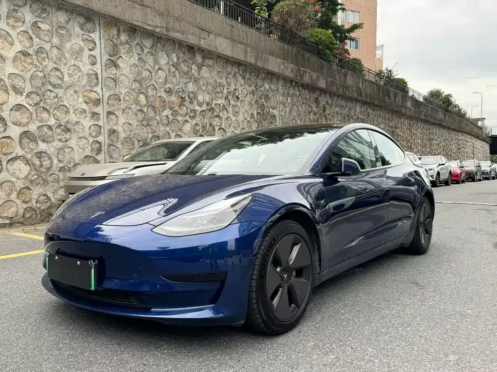 Tesla Model 3 2021 из CN, фото 1