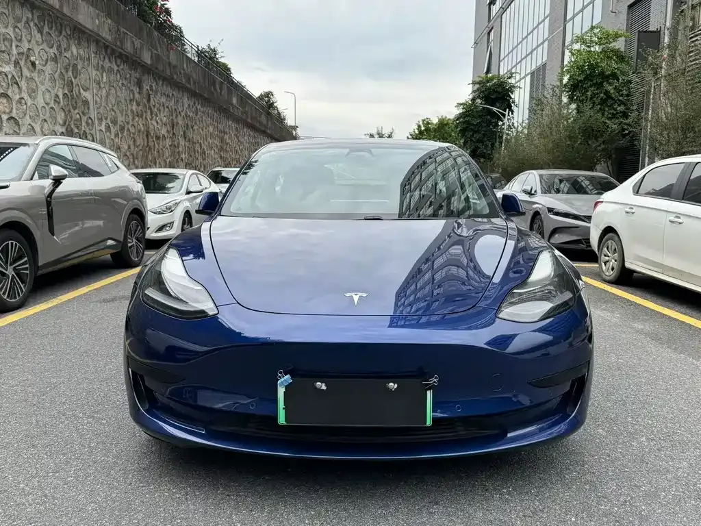 Tesla Model 3 2021 из CN, фото 2
