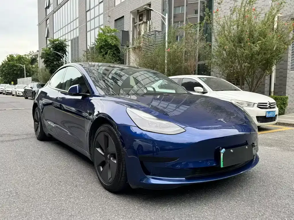 Tesla Model 3 2021 из CN, фото 3