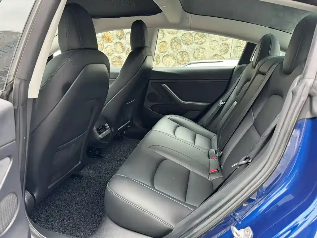 Tesla Model 3 2021 из CN, фото 5