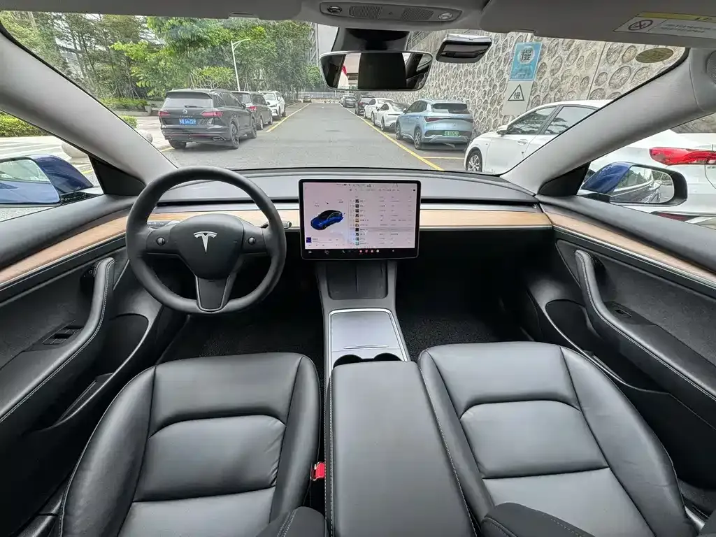 Tesla Model 3 2021 из CN, фото 6