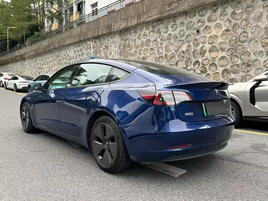 Tesla Model 3 2021 из CN, фото 7