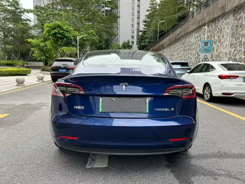 Tesla Model 3 2021 из CN, фото 8