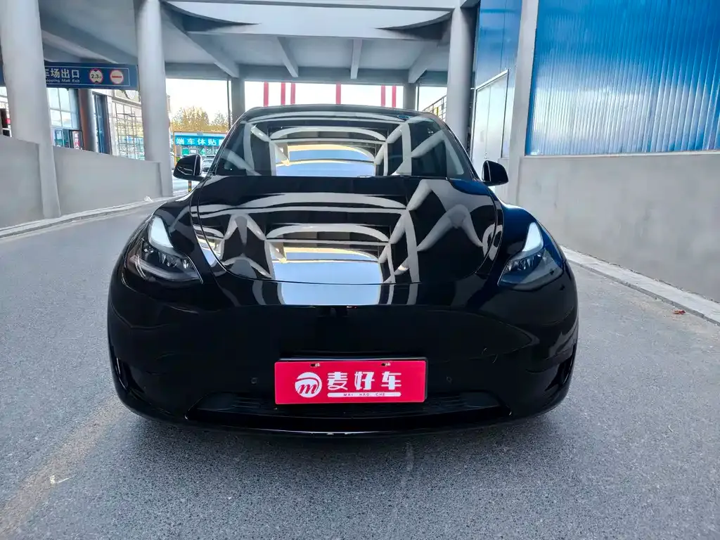 Tesla Model Y 2022 из CN, фото 2