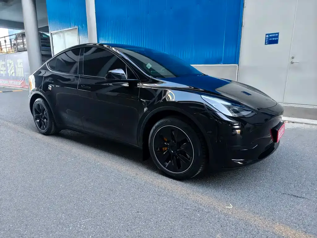 Tesla Model Y 2022 из CN, фото 3