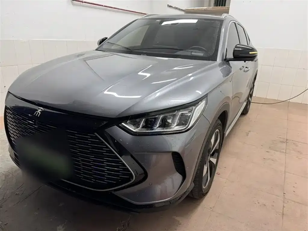 BYD PLUS New Energy 2023 из CN, фото 2