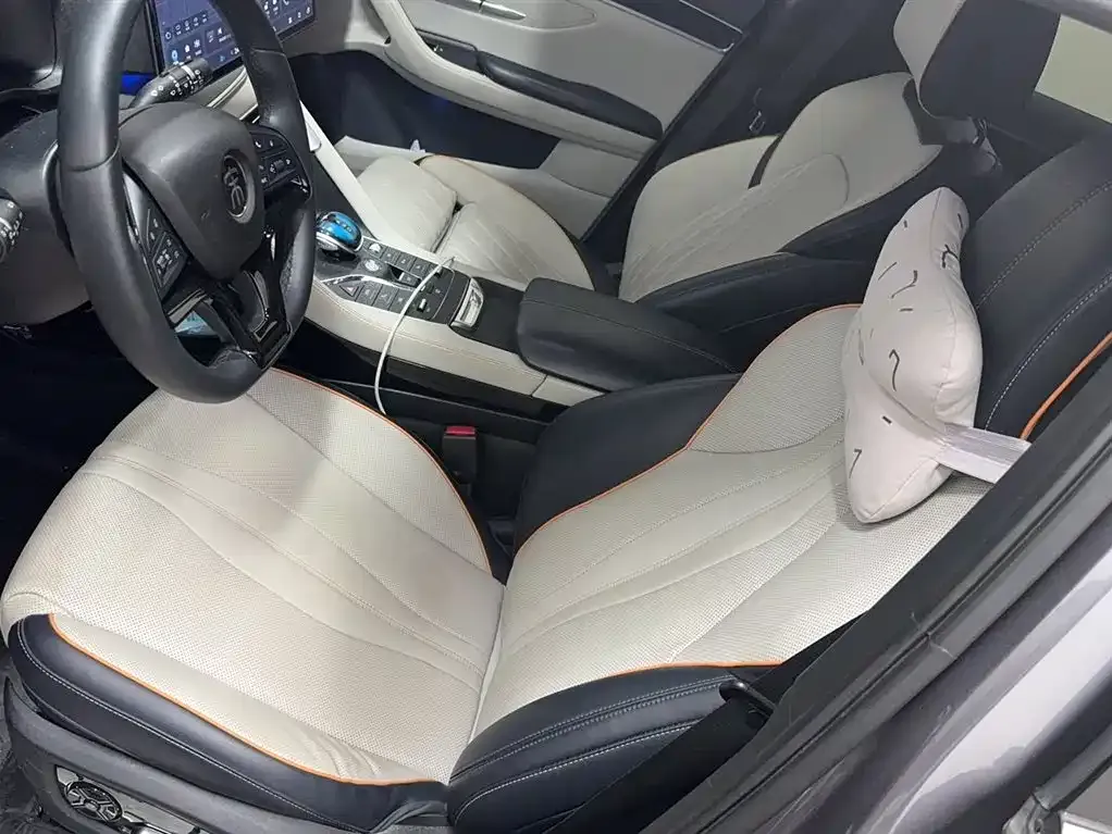 BYD PLUS New Energy 2023 из CN, фото 3