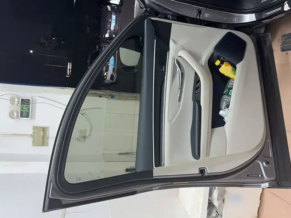BYD PLUS New Energy 2023 из CN, фото 9