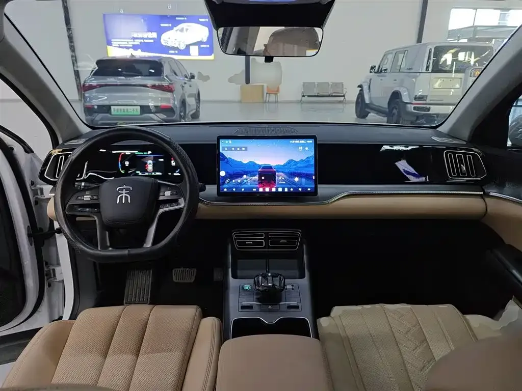 BYD Pro New Energy 2025 из CN, фото 10