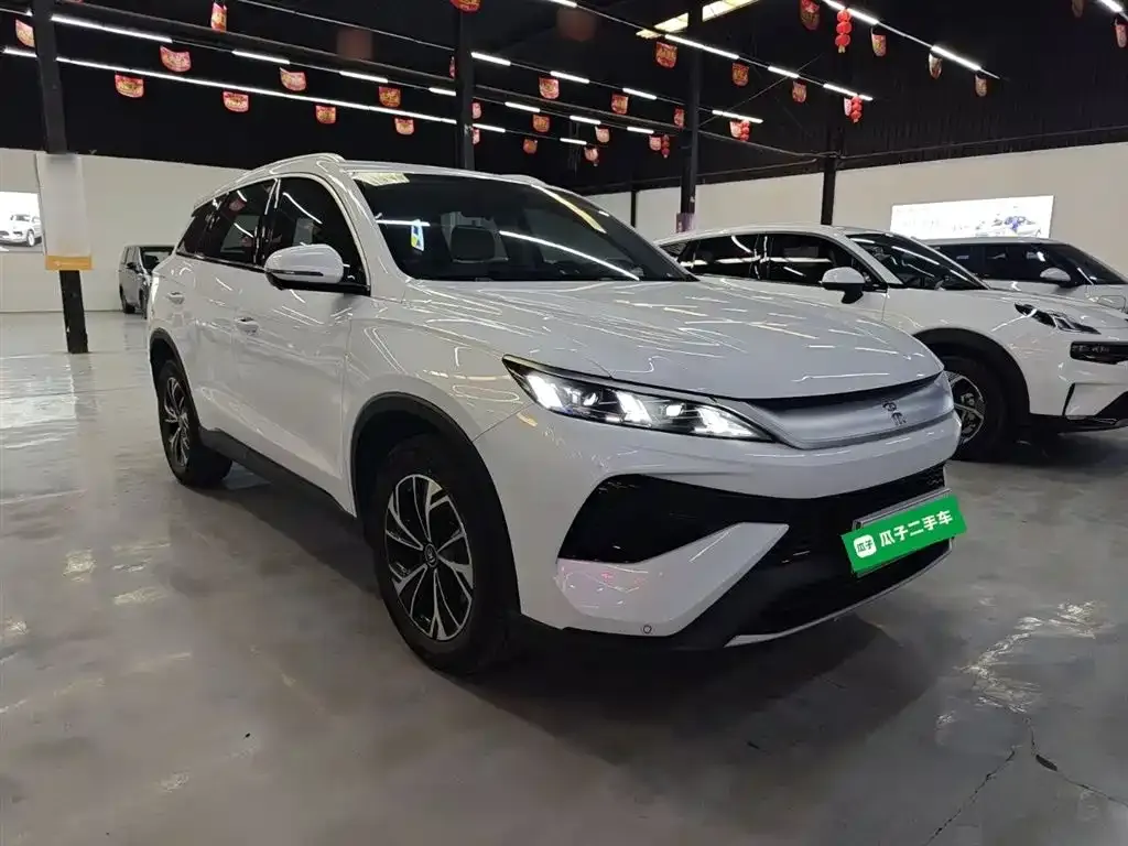 BYD Pro New Energy 2025 из CN, фото 4