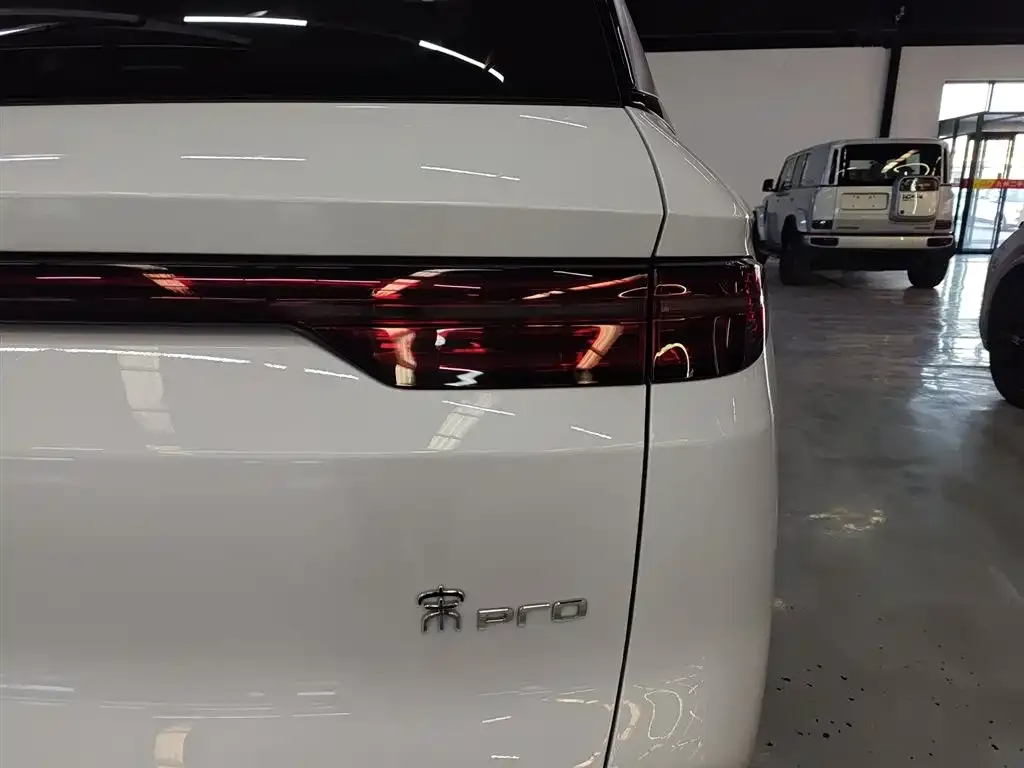 BYD Pro New Energy 2025 из CN, фото 8