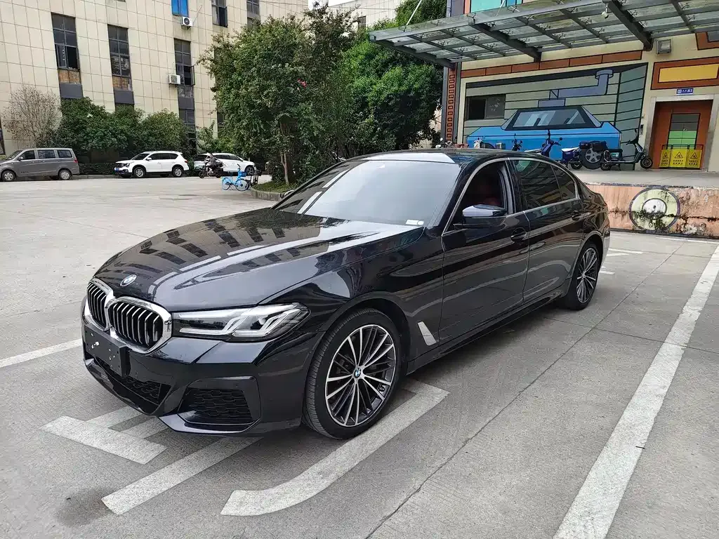 BMW 5 Series 2021 из CN, фото 1