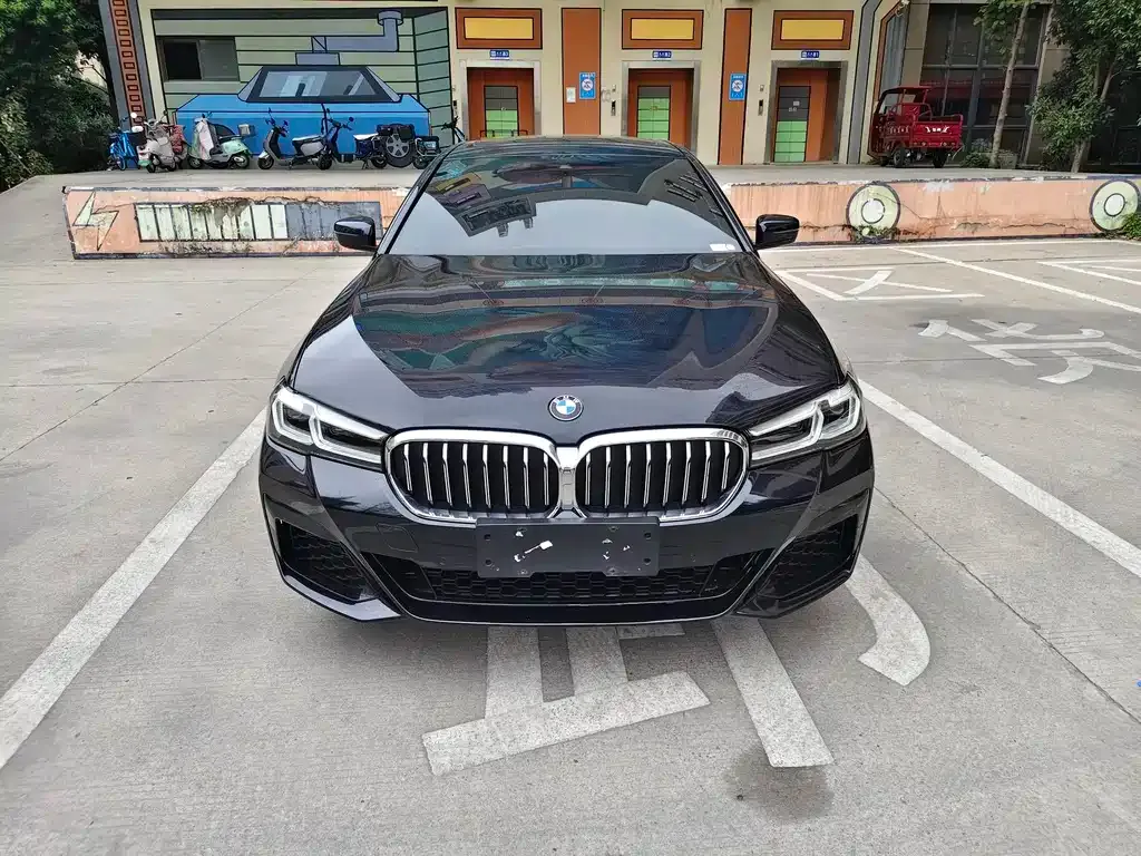 BMW 5 Series 2021 из CN, фото 2