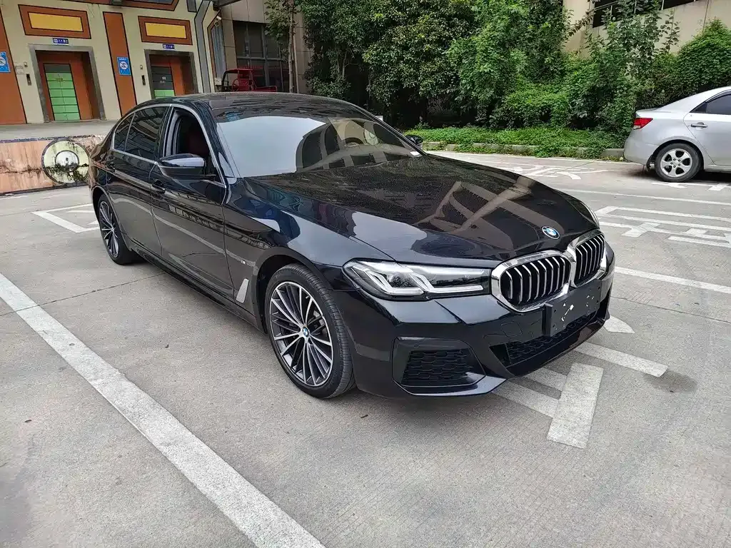 BMW 5 Series 2021 из CN, фото 3