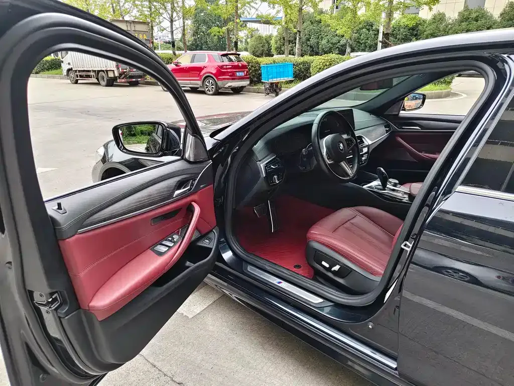 BMW 5 Series 2021 из CN, фото 4