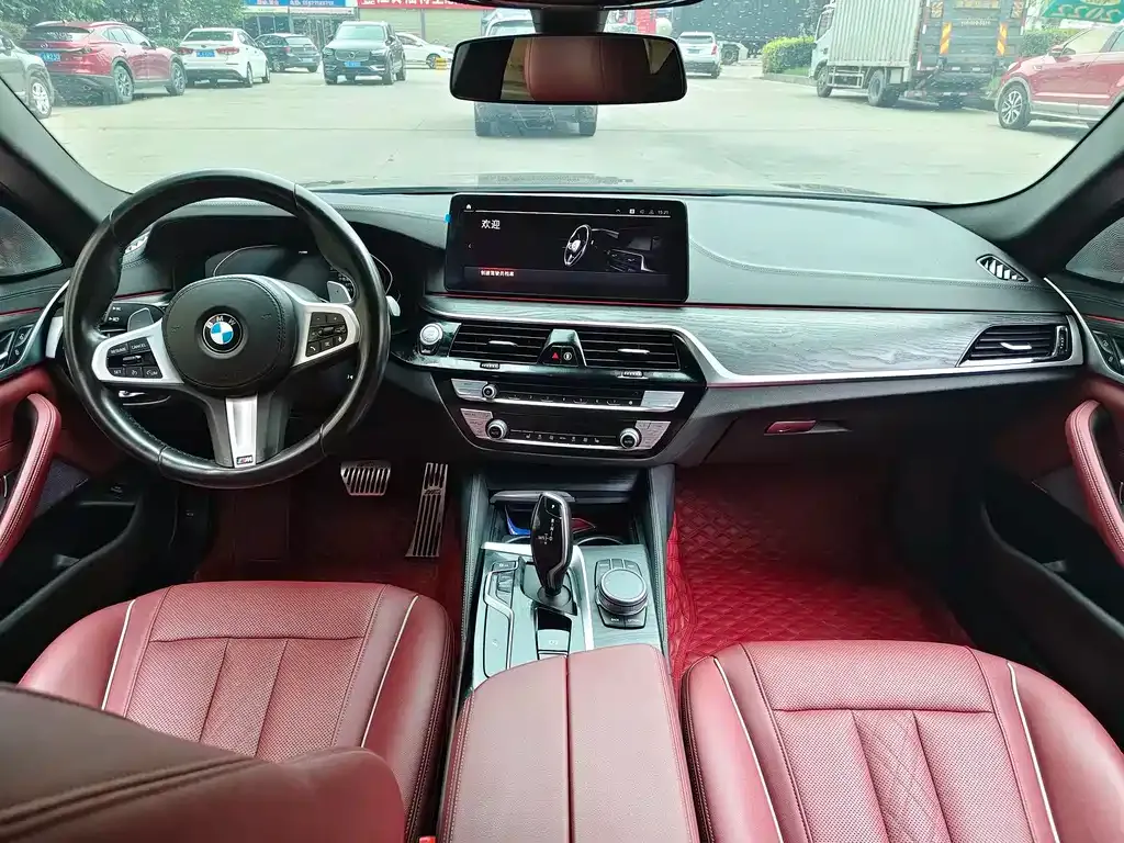 BMW 5 Series 2021 из CN, фото 6