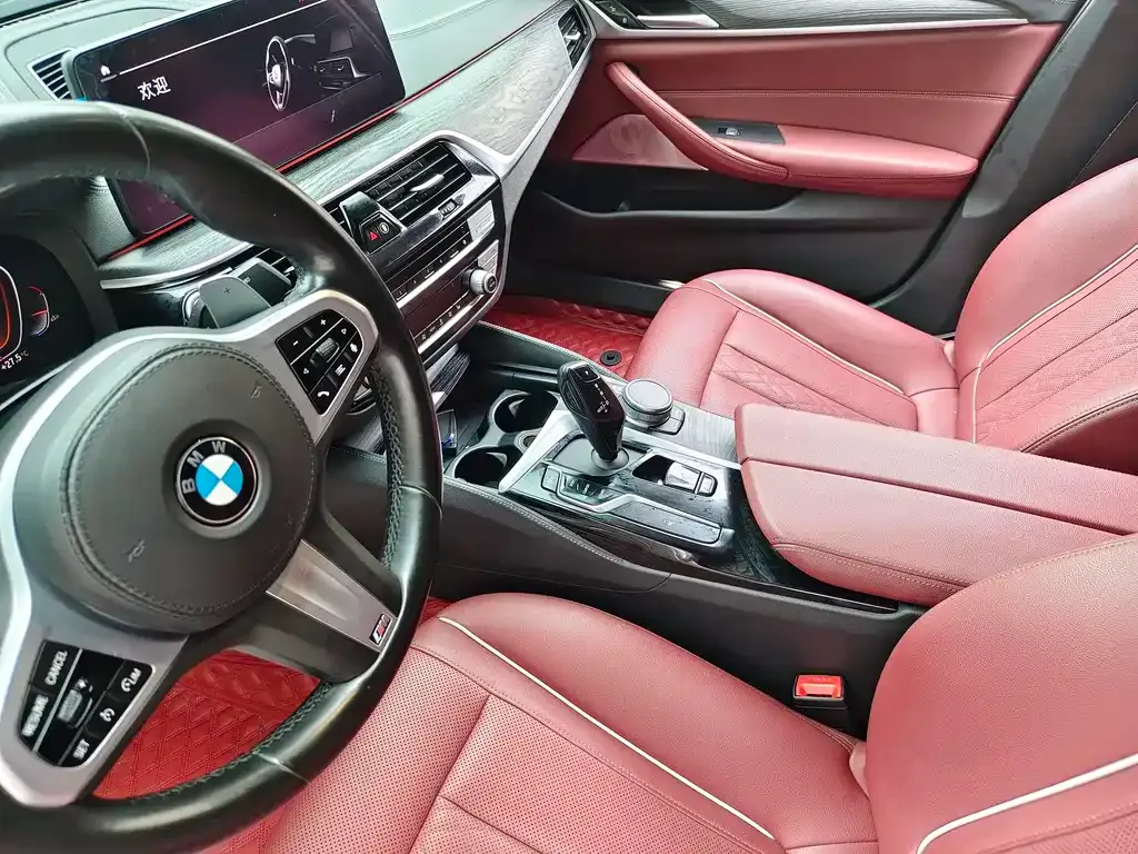 BMW 5 Series 2021 из CN, фото 7