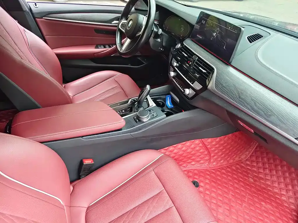 BMW 5 Series 2021 из CN, фото 8