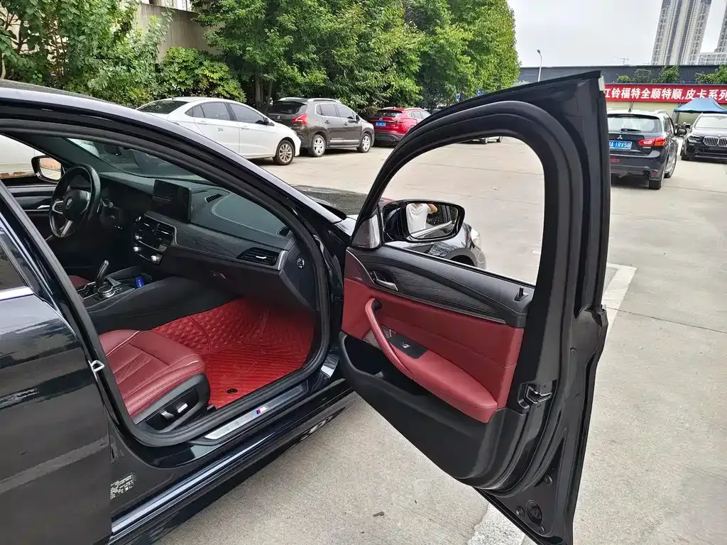 BMW 5 Series 2021 из CN, фото 9