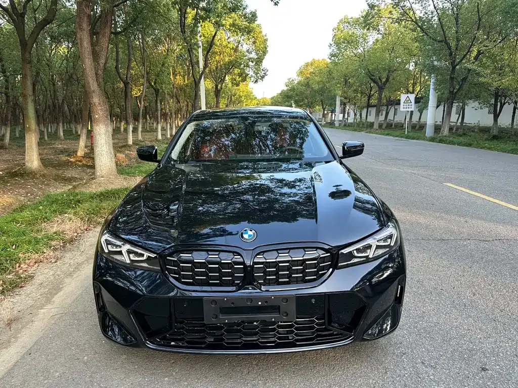 BMW 3 Series 2024 из CN, фото 2