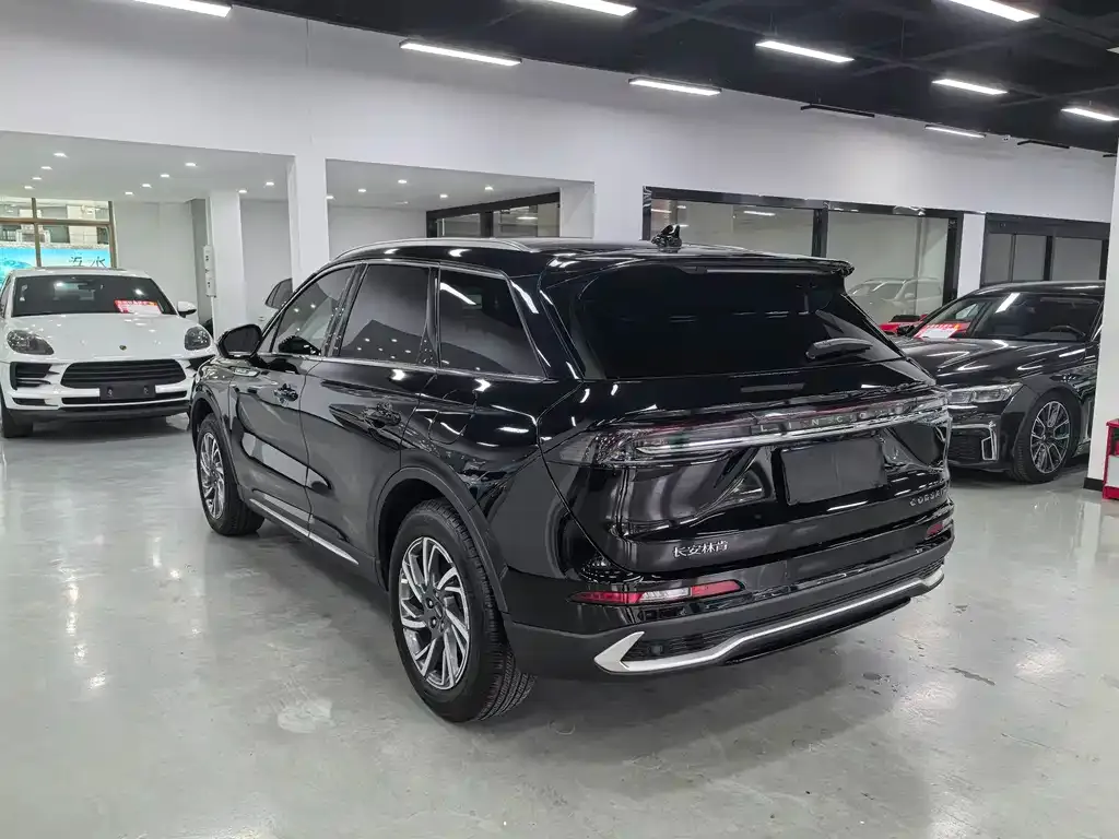 Lincoln Corsair 2024 из CN, фото 7