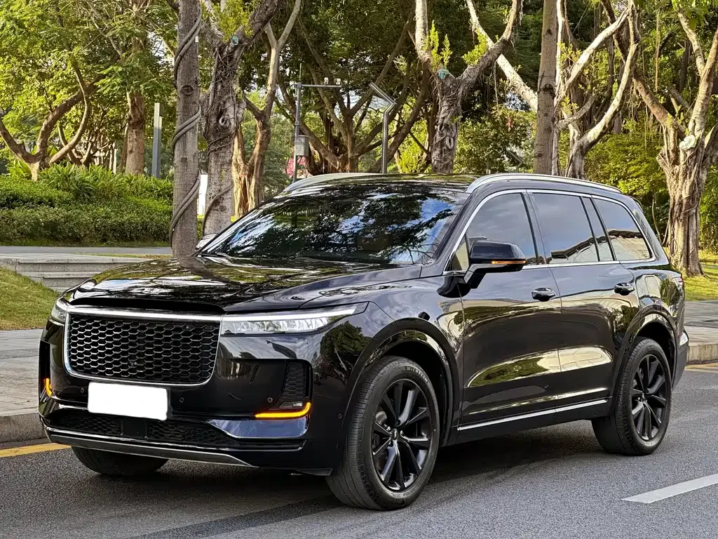 Li Auto ONE 2021 из CN, фото 1