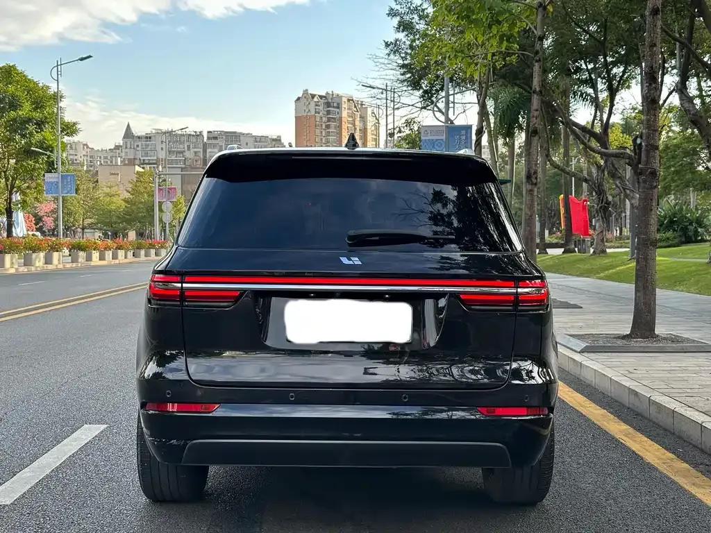 Li Auto ONE 2021 из CN, фото 5