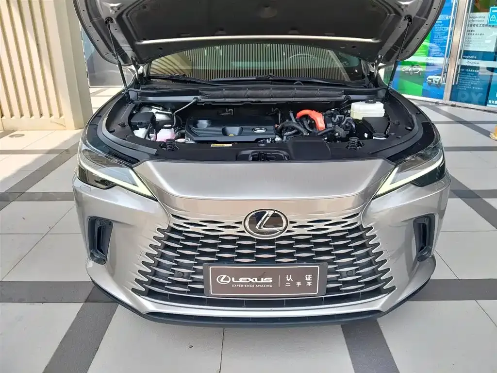 Lexus RX 2023 из CN, фото 3