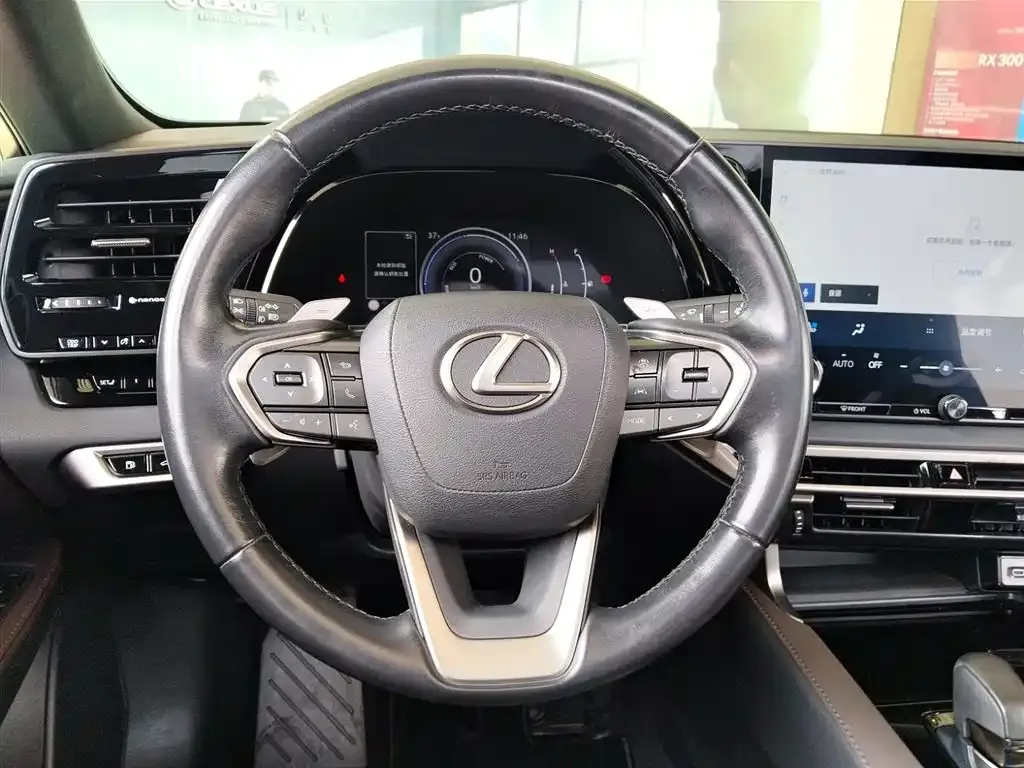 Lexus RX 2023 из CN, фото 4