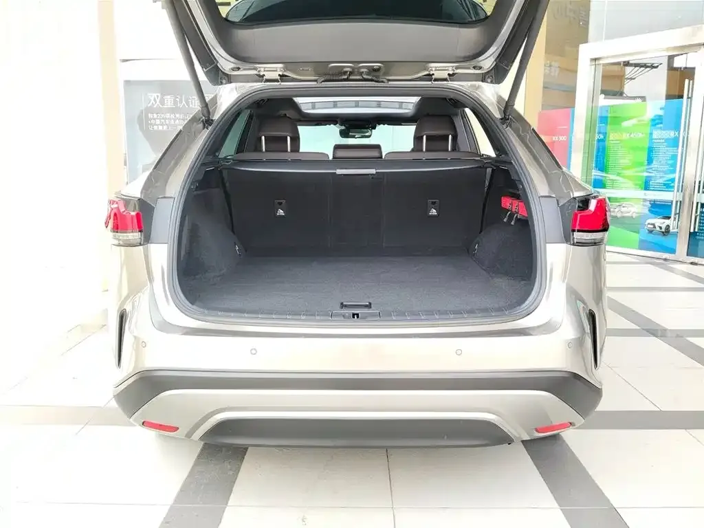 Lexus RX 2023 из CN, фото 6