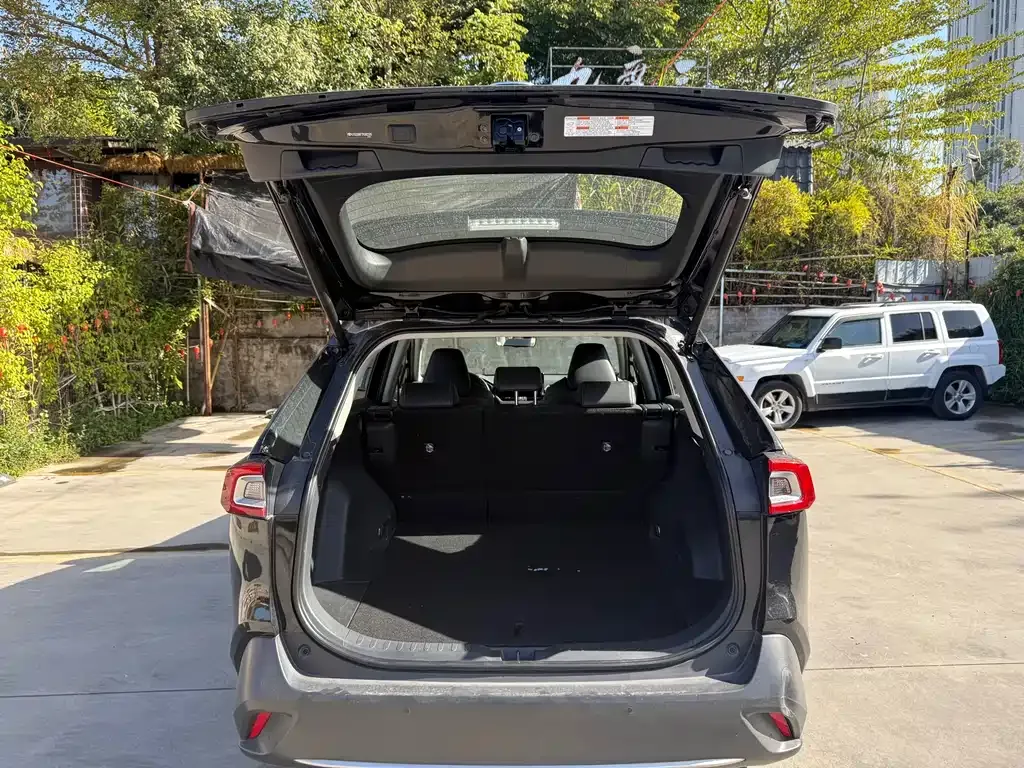 Toyota Wildlander 2023 из CN, фото 5
