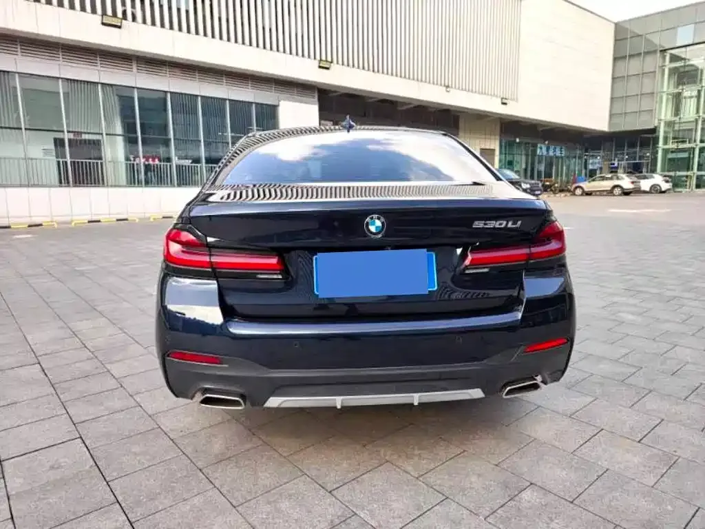 BMW 5 Series 2024 из CN, фото 9