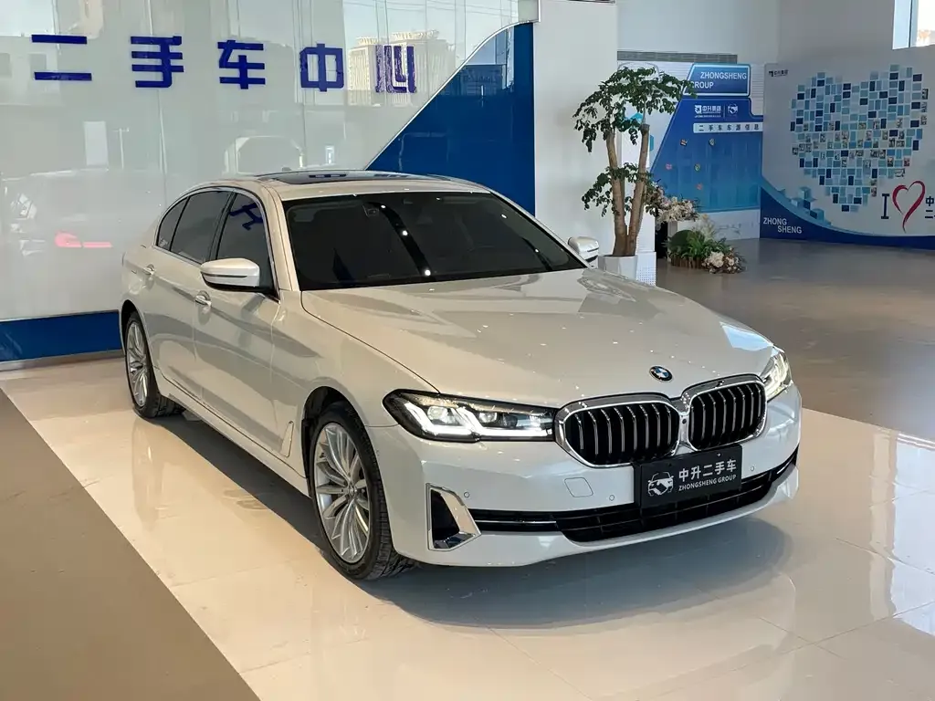 BMW 5 Series 2022 из CN, фото 4
