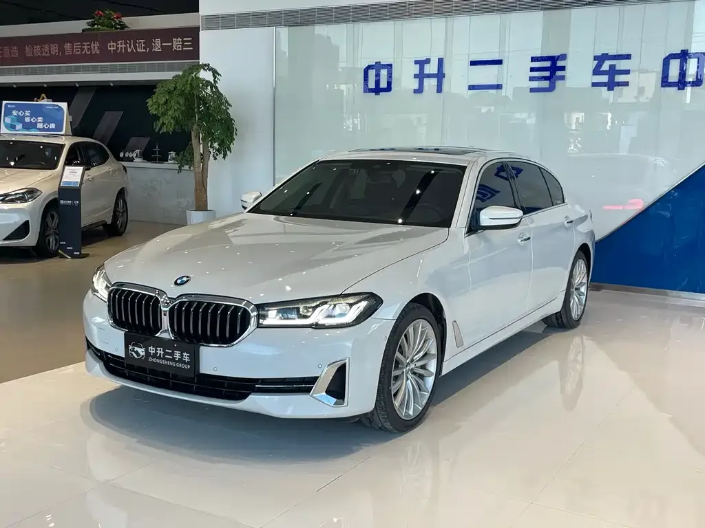 BMW 5 Series 2022 из CN, фото 5